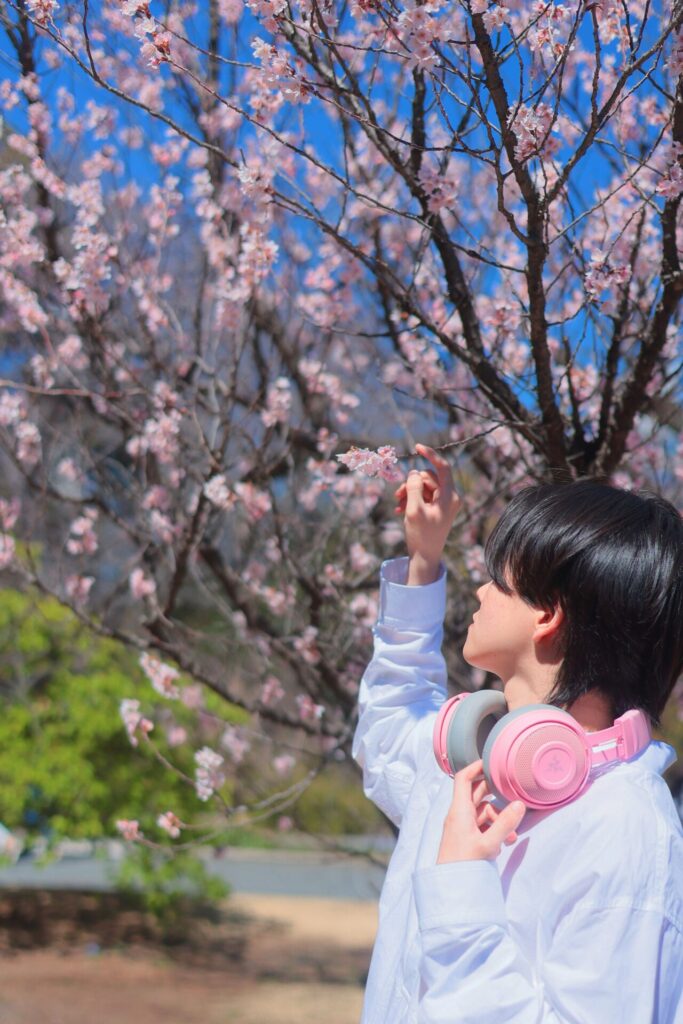 東京秘密基地ほまれがピンクのヘッドホンをつけて桜を眺める後ろ姿