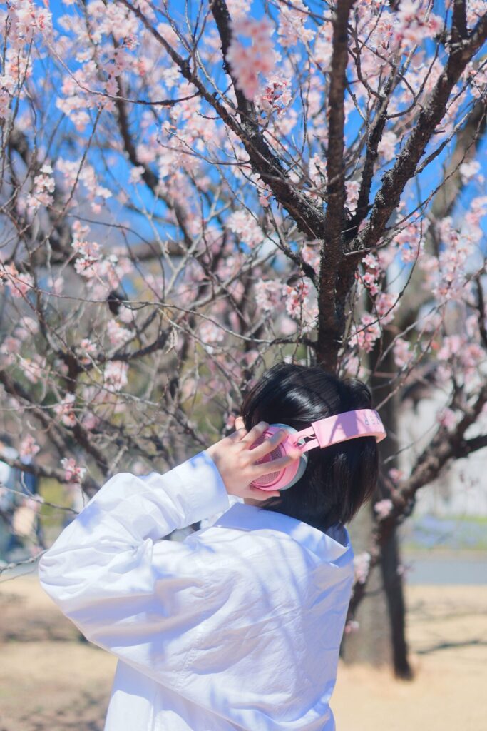東京秘密基地ほまれがピンクのヘッドホンをつけて桜を眺める後ろ姿